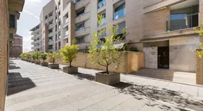 Sea views & city skyline - Image 5