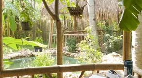 Mango House Retreat Quy Nhon - Image 2