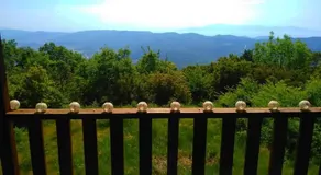 Pangeo forest village - Image 3