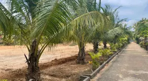 Abbi Holiday Entire Private Villa Keerimalai-jaffna - Image 5
