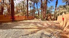 Serenity Lodge Zagora Guest House Restaurant & Desert Excursions - Image 5