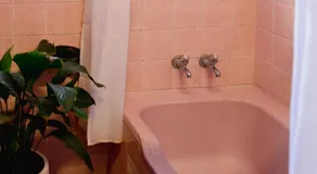 The Family Hotel - Image 5