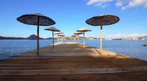 Casita Verdi Evleri - Image 4