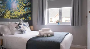 Apartment--- 1 Bed in Naas - Image 2