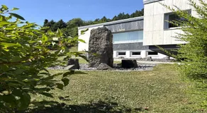 KickEns - Image 4