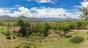 The Heart of Pai - Image 3