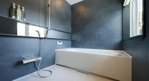 HiTOSE - Image 2