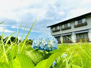 聖山パノラマホテル - Image 5