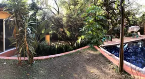 Bungalito en Cuernavaca - Image 3