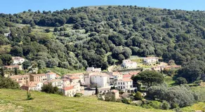 Petit coin de Paradis - Maison d'Hôtes - Image 5