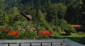 Romantic-Pension Albrecht - Villa next to UNESCO World Heritage - since 1901 - Image 5