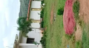 Hs honey valley resort's - Image 3