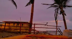 Arrullos del Mar - Image 4