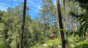 corak alam glamping - Image 5
