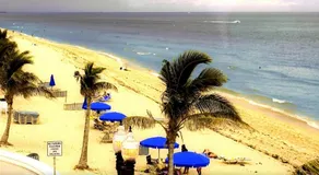 The Bohdan House: Remod FtLaud home vicino aeroporto / spiaggia / porto / ristoranti / shopping :)) - Image 5