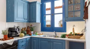 House Salvia - Image 3