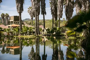 Indian Springs Resort & Spa - Image 5