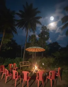 Dreamland Vintage Homestay - Image 3