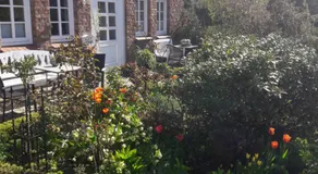Lavendel - Image 4
