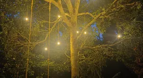 Kowdi House- Eramalloor Inn - Image 3