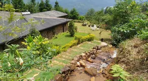 4154ft Ramboda - Image 5