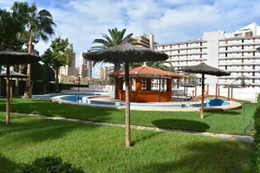 Villa Capri Apartment Rincon - Image 4