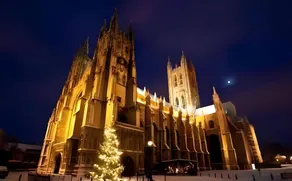 The Nook - Canterbury - Parking - Superfast Wi-Fi - Image 3