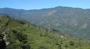 Poomong Homestay - Image 5