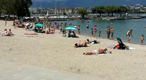 Genève magnifique appartemens aux Eaux vives - Image 5