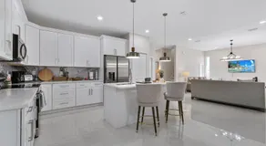 Luxury New Home in Ybor's Heart - Image 3