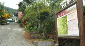 Green incense Homestay - Image 4