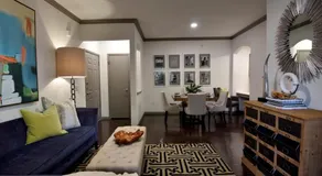 Lavish Apartment near Houston Medical Centre - Image 2
