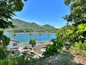 Sunset Village - Image 2