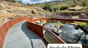 Estrela de Carvalha - Image 4