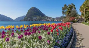 Residence Palace for 3 in Lugano - Happy Rentals - Image 5