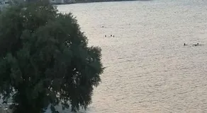 Mariannas tiny paradise - Image 5