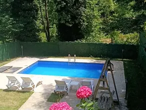 Sapanca Çağlayan Bungalow - Image 3