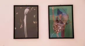 Nest & Rest - Image 5