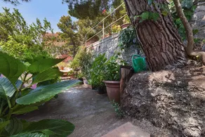 Villa Apollo B&B - Image 2