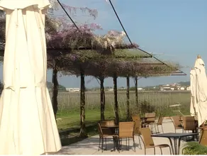 Dimora Buglioni Wine Relais - Image 4