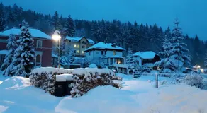 Haus Stefanie Elvire - Image 4