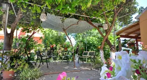 Miranda Haus - Image 4