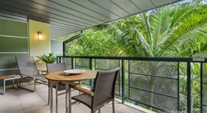 Restful rainforest retreat mins from Hastings st 9407 - Image 5
