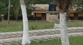 Anamoaba Royal hotel - Image 5