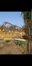 iاستراحة لبنان في بنبان Istraha - Image 5