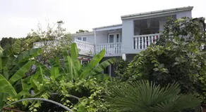 Hitas house - Image 4