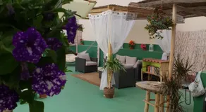 Cactus Host - Image 3