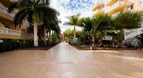 Palm Mar de LUX C31 - Image 5
