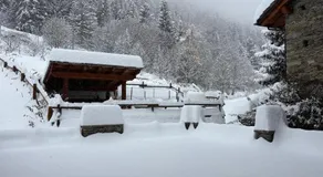 Affittacamere L'Abri - Image 4