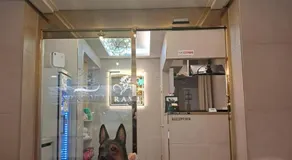 Hotel Ravi - Image 3